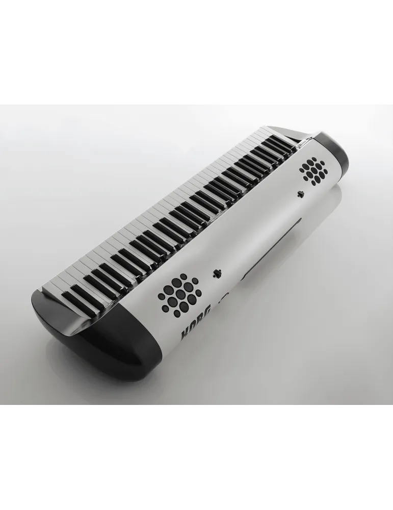 KORG SV2S-73 | MusicGoodDeal