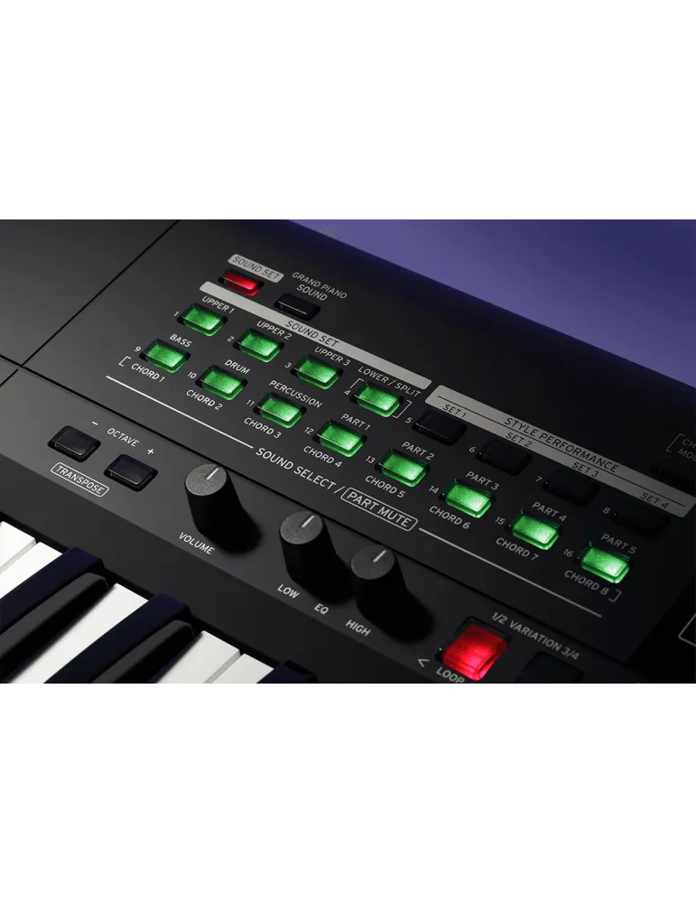 KORG I3-MB | MusicGoodDeal
