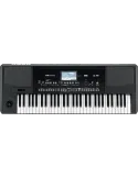 KORG PA300 | MusicGoodDeal