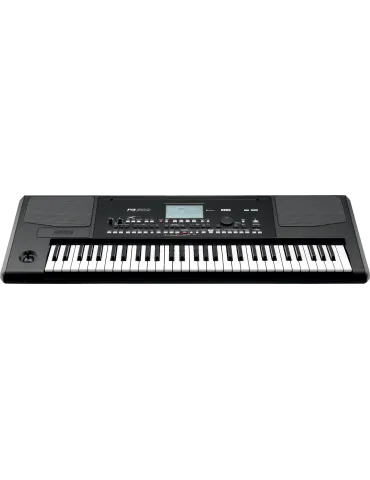 KORG PA300 | MusicGoodDeal 2
