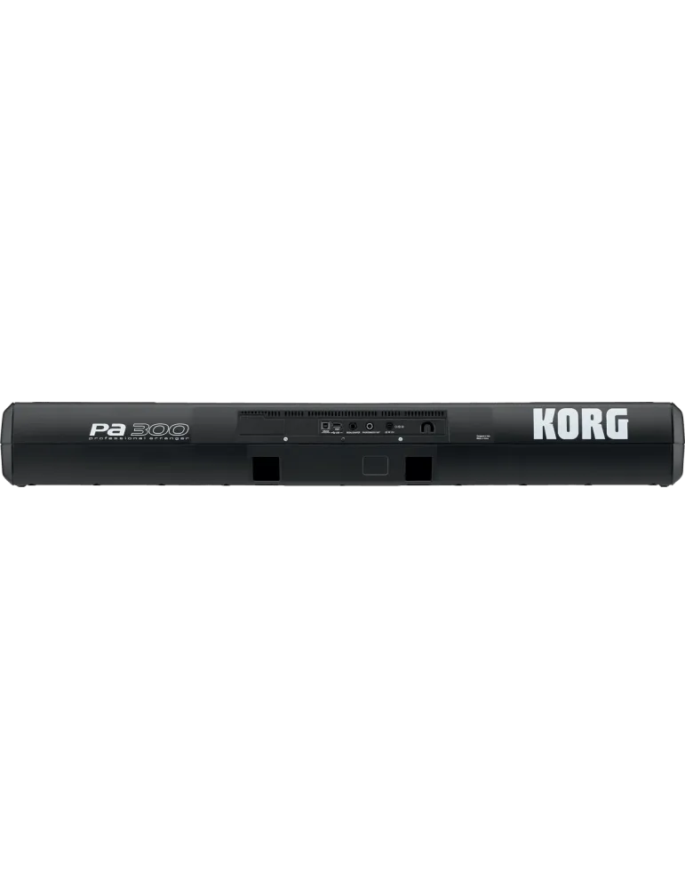 KORG PA300 | MusicGoodDeal