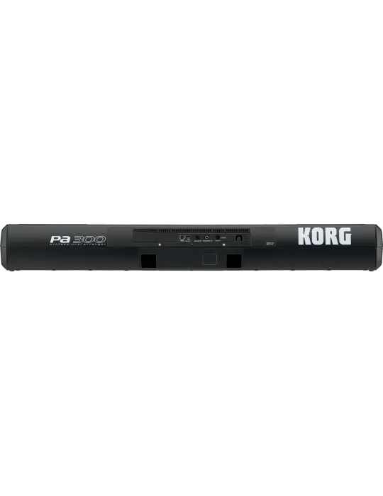 KORG PA300 | MusicGoodDeal