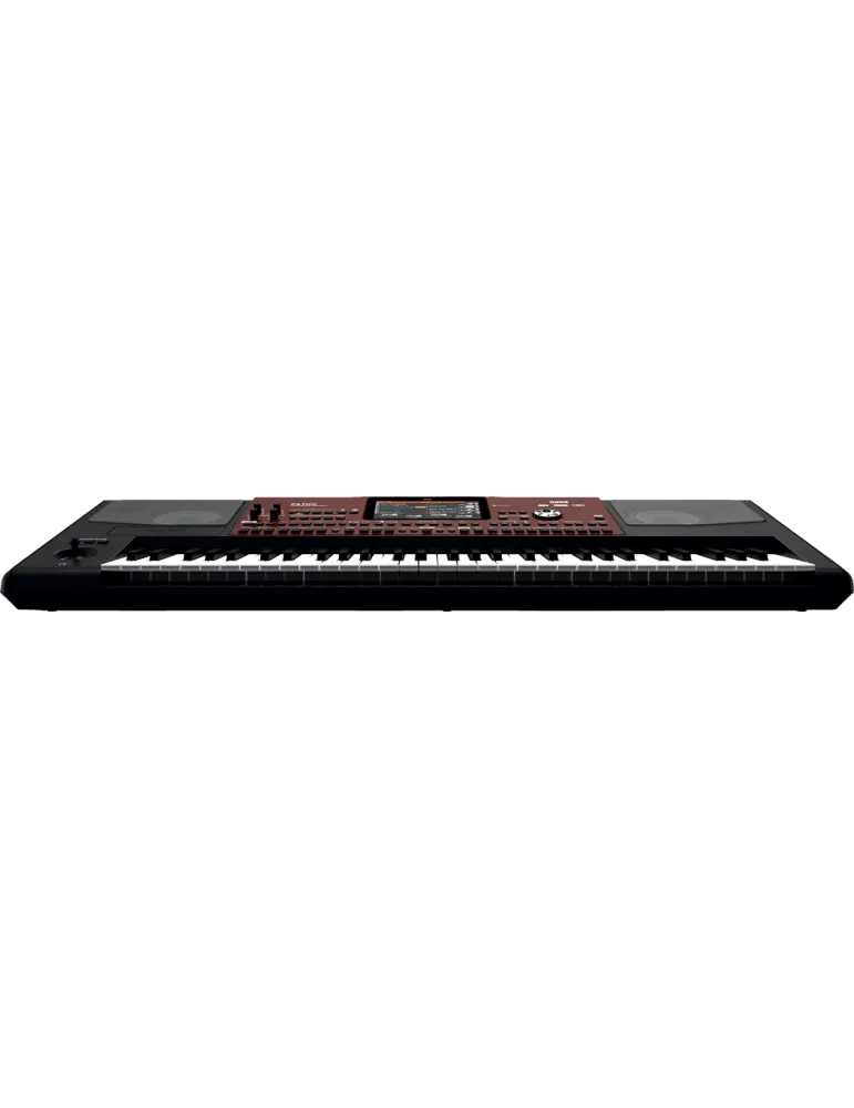 KORG PA700 | MusicGoodDeal