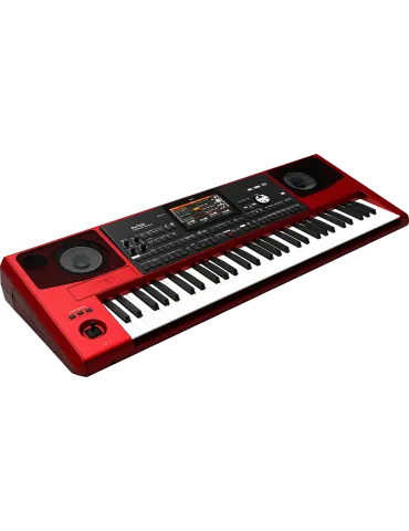KORG PA700RD | MusicGoodDeal