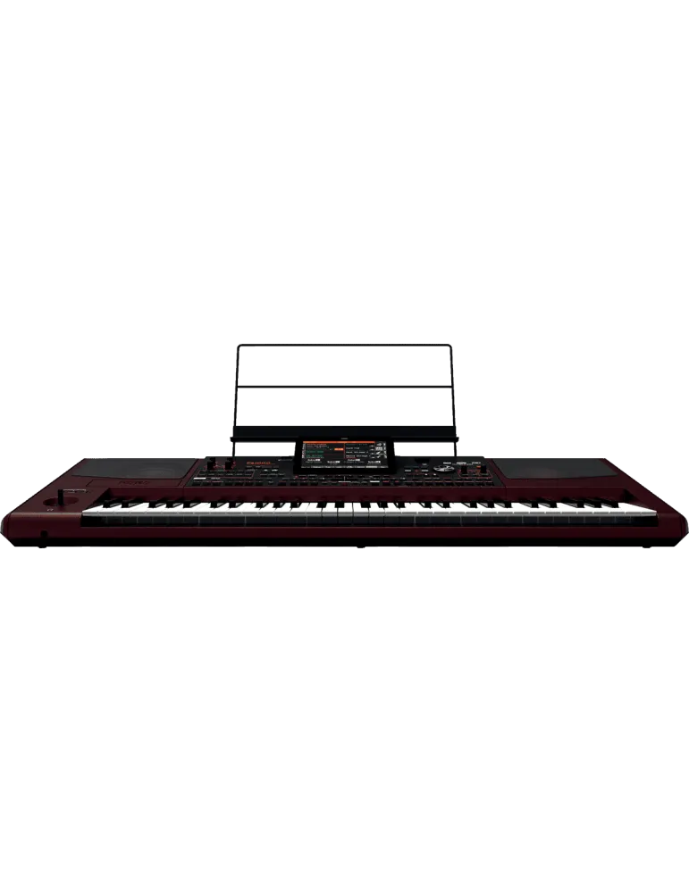 KORG PA1000 | MusicGoodDeal