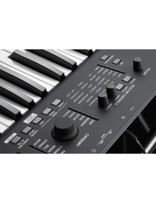 KORG KROSS2-61-MB | MusicGoodDeal