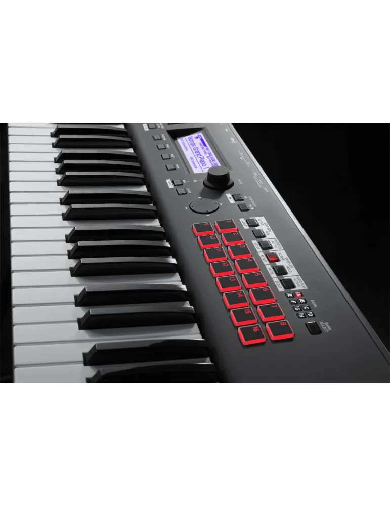 KORG KROSS2-61-MB | MusicGoodDeal