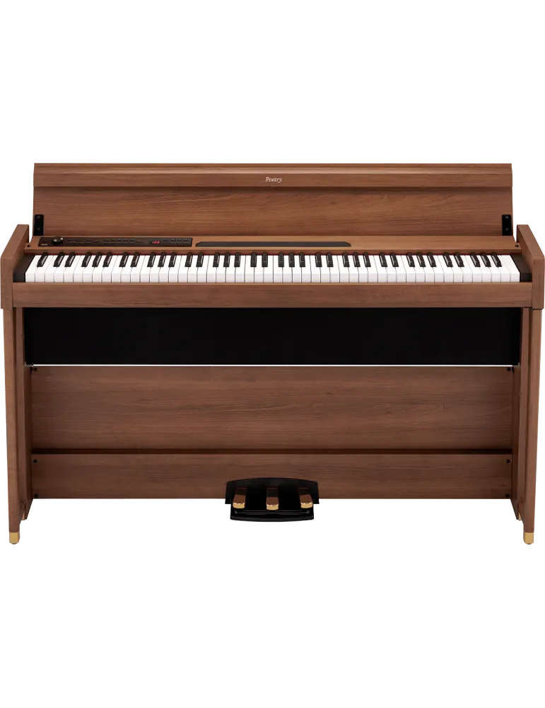 KORG POETRY | MusicGoodDeal