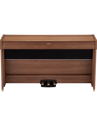 KORG POETRY | MusicGoodDeal 2