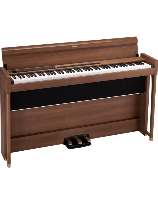 KORG POETRY | MusicGoodDeal
