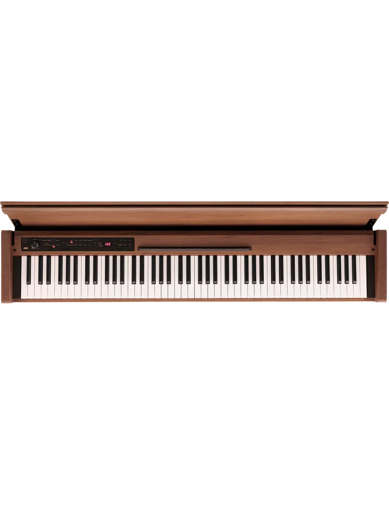 KORG POETRY | MusicGoodDeal