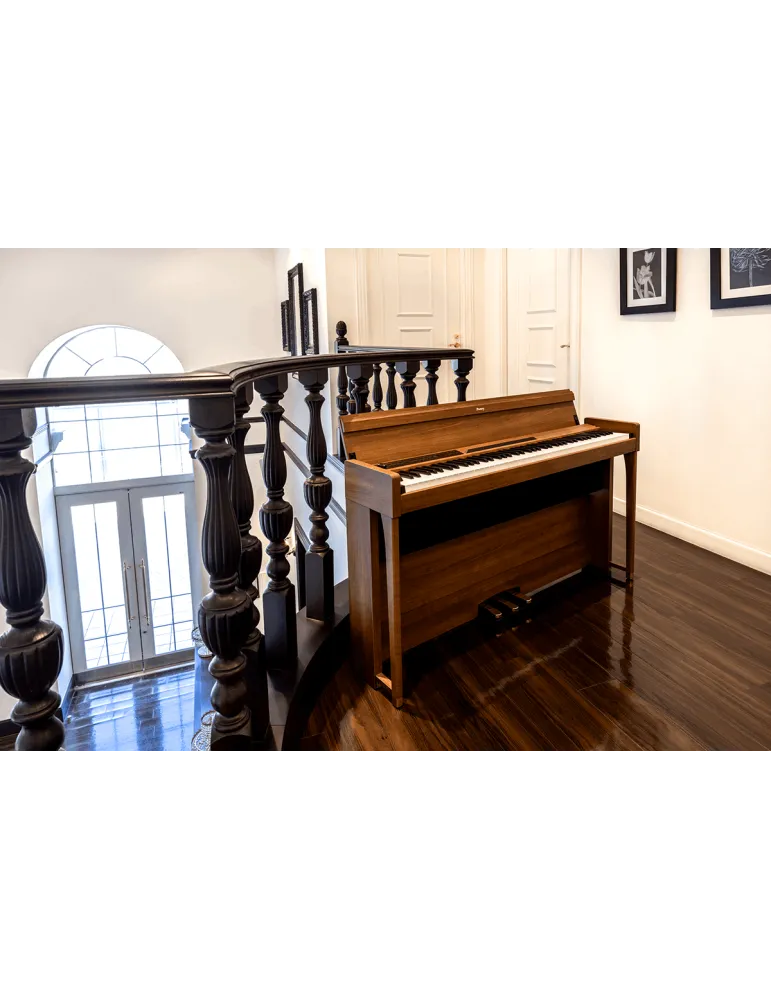 KORG POETRY | MusicGoodDeal