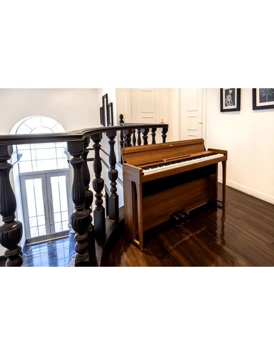 KORG POETRY | MusicGoodDeal