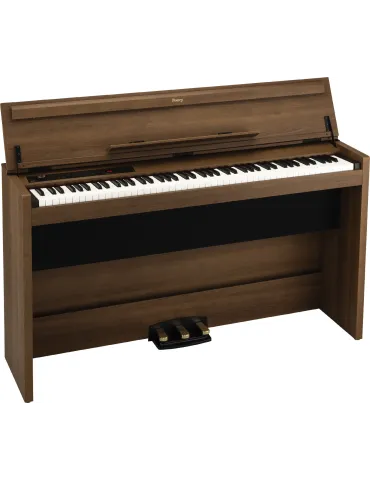KORG POETRY-M | MusicGoodDeal