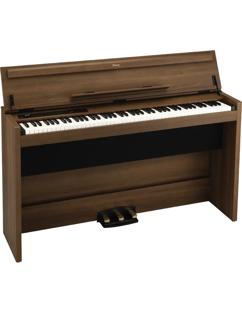 KORG POETRY-M | MusicGoodDeal