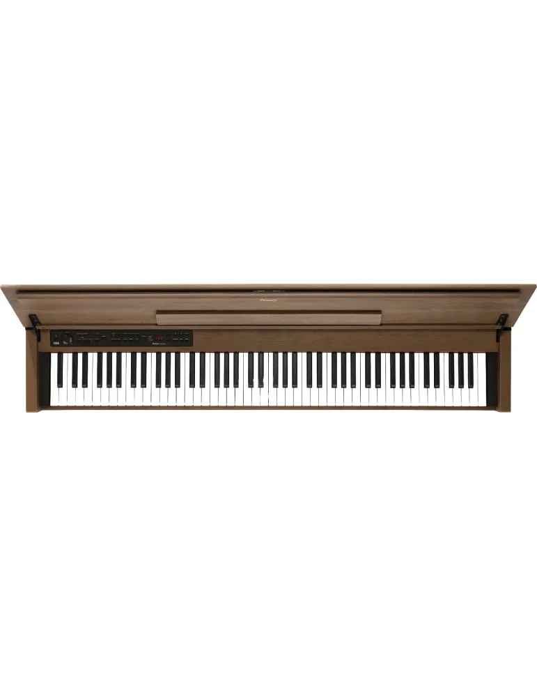 KORG POETRY-M | MusicGoodDeal