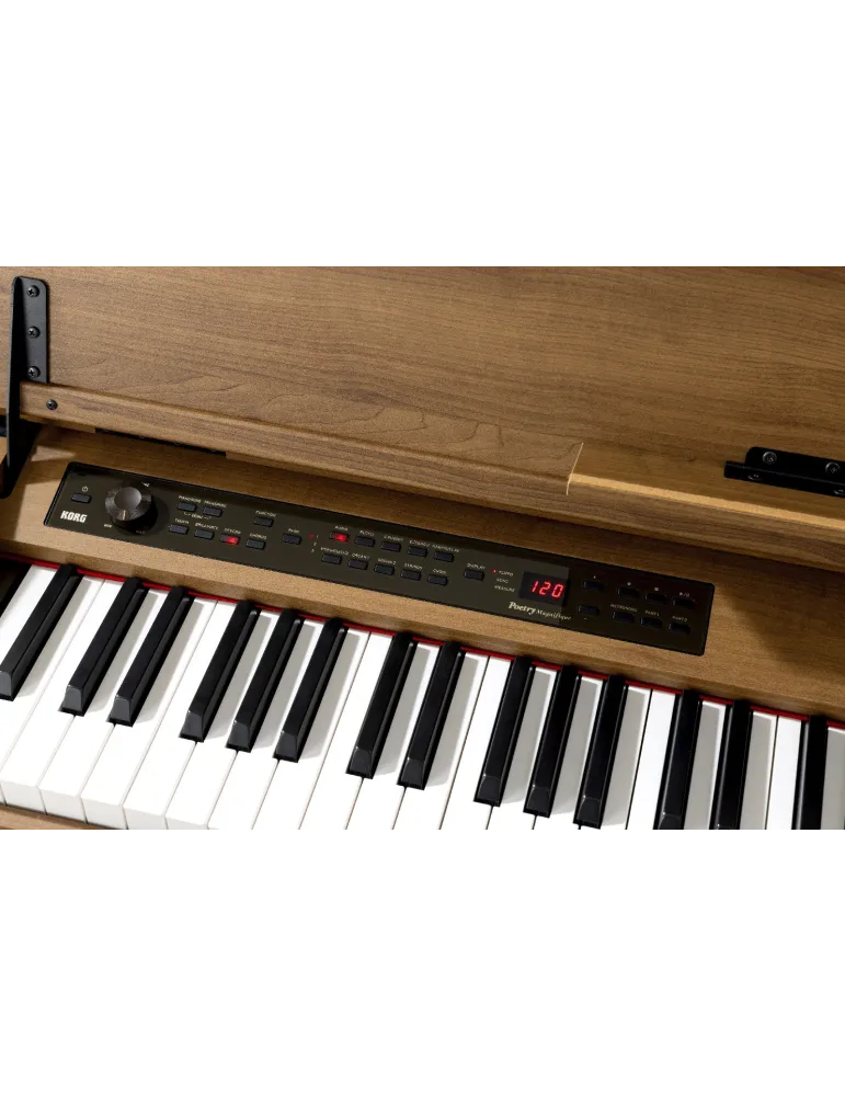 KORG POETRY-M | MusicGoodDeal