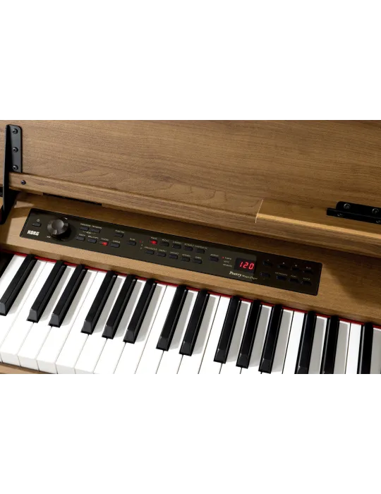 KORG POETRY-M | MusicGoodDeal