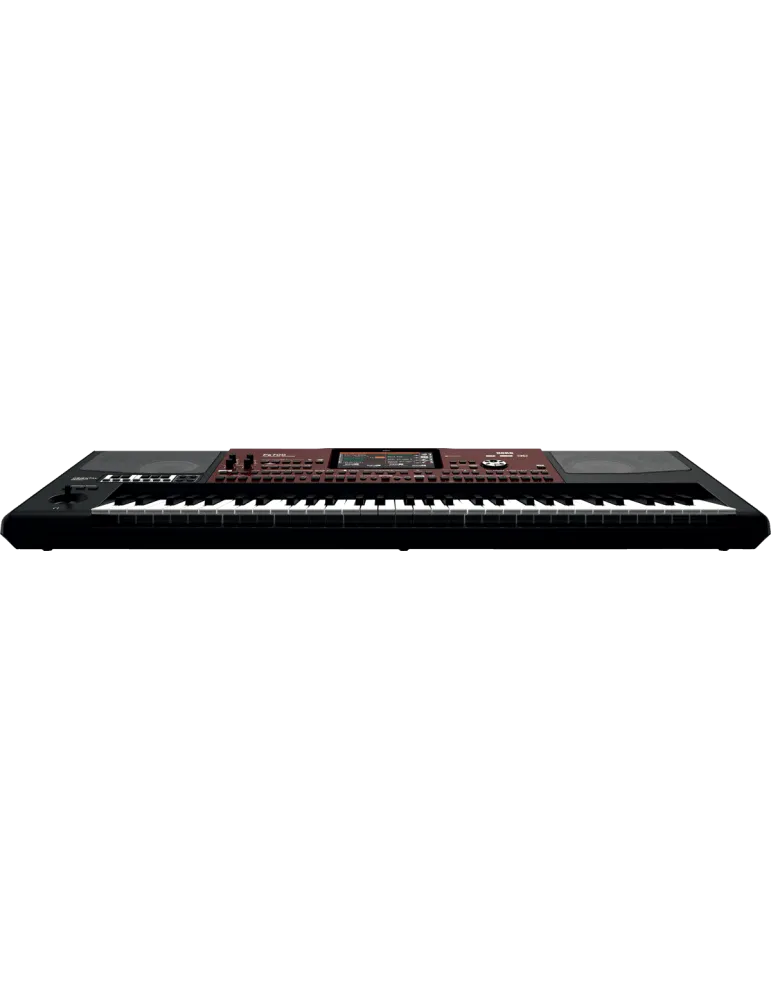 KORG PA700OR | MusicGoodDeal