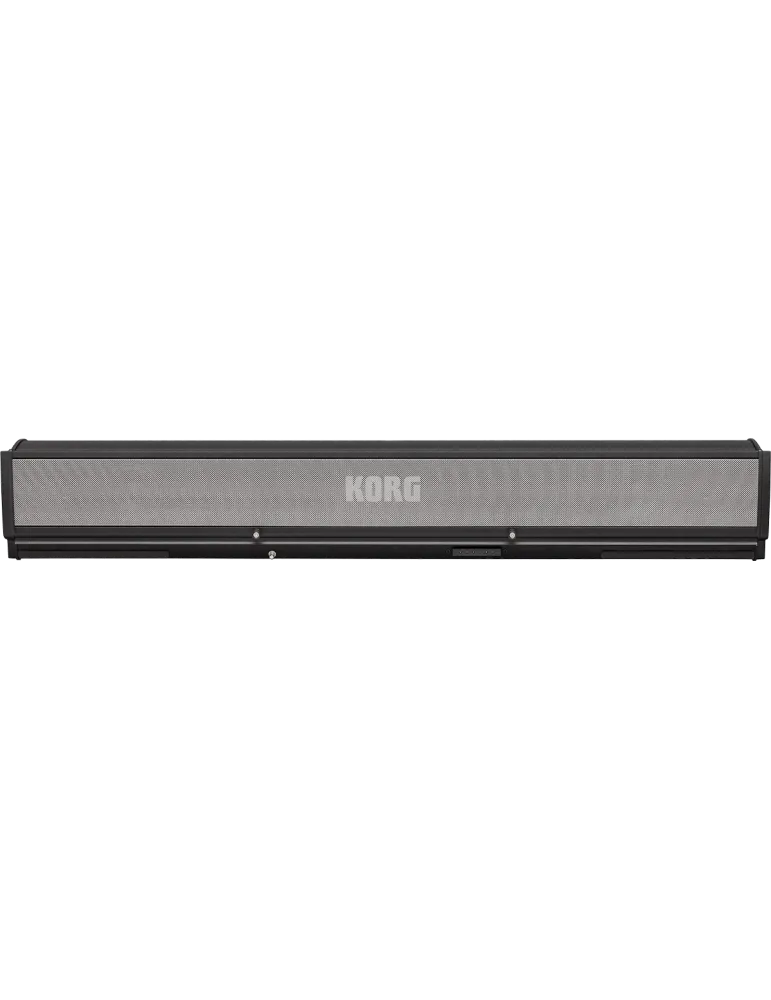 KORG PAAS-MK2 | MusicGoodDeal