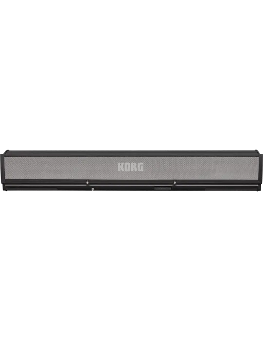 KORG PAAS-MK2 | MusicGoodDeal
