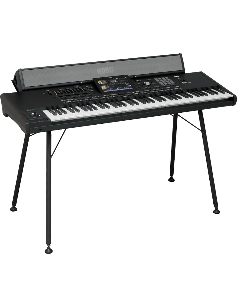 KORG PAAS-MK2 | MusicGoodDeal