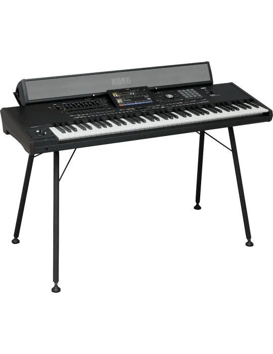 KORG PAAS-MK2 | MusicGoodDeal