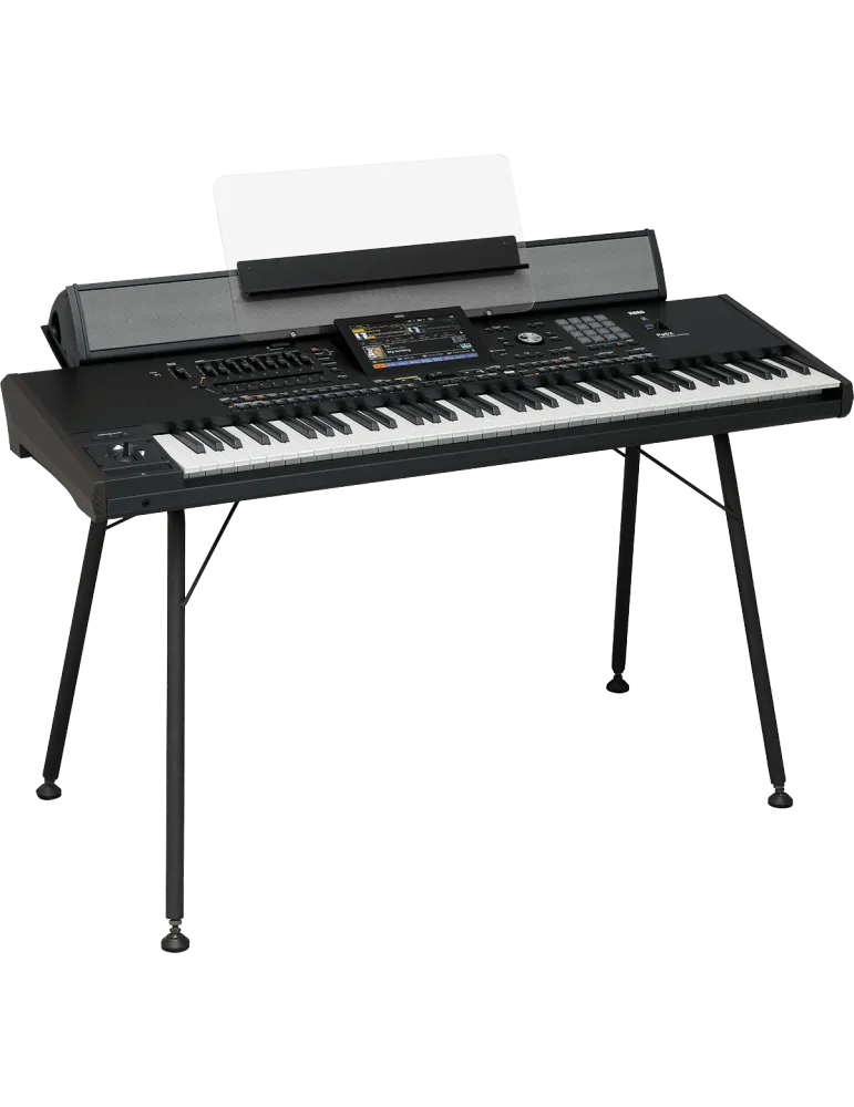 KORG PAAS-MK2 | MusicGoodDeal