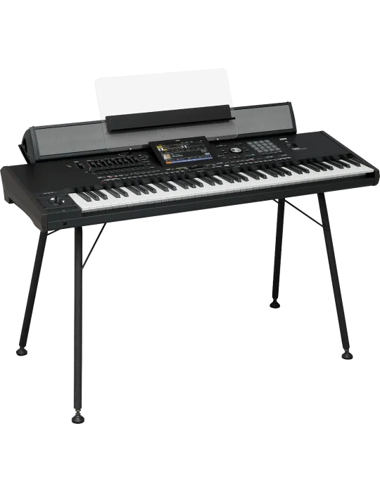 KORG PAAS-MK2 | MusicGoodDeal