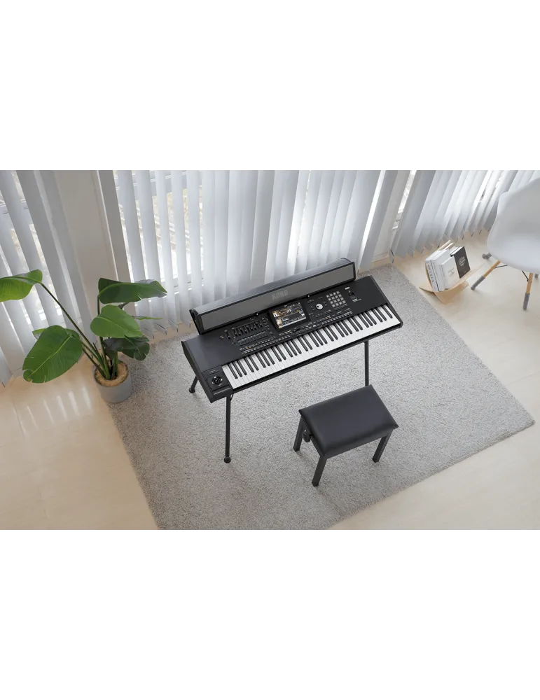 KORG PAAS-MK2 | MusicGoodDeal