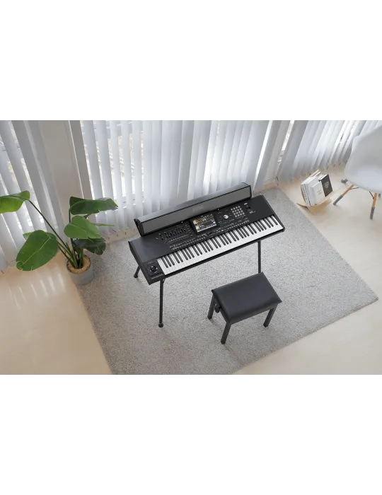 KORG PAAS-MK2 | MusicGoodDeal