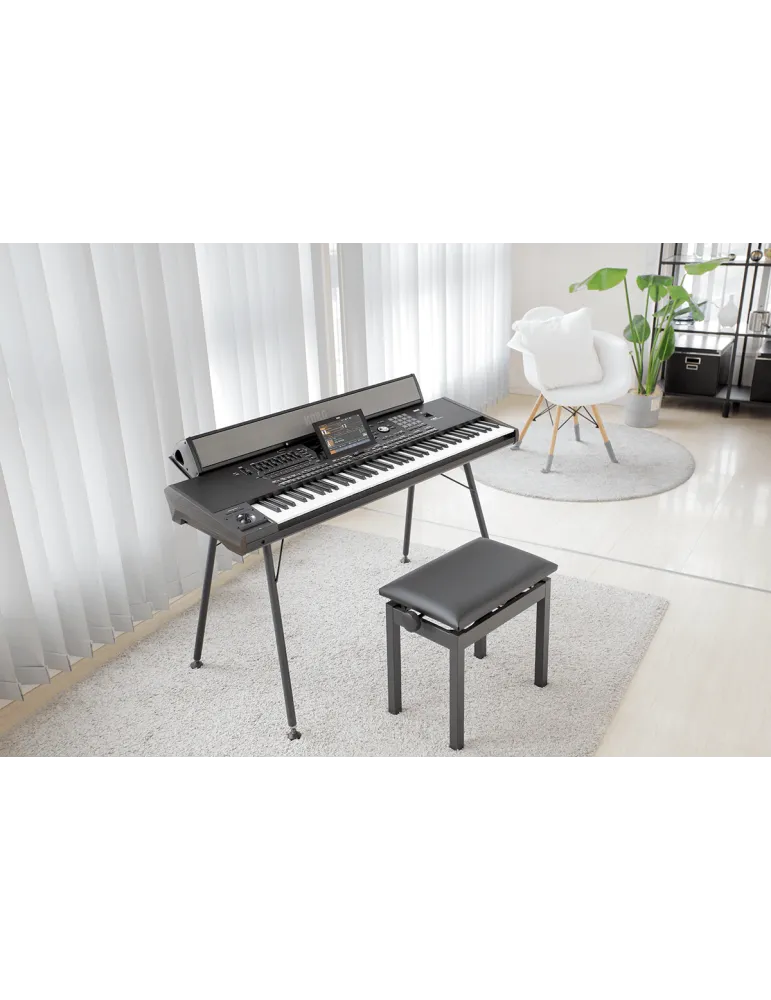 KORG PAAS-MK2 | MusicGoodDeal