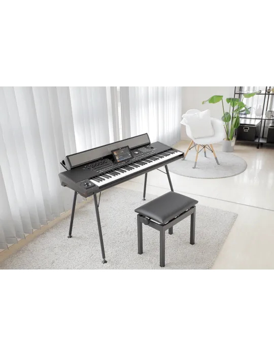 KORG PAAS-MK2 | MusicGoodDeal