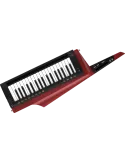 KORG RK-100S2-RD | MusicGoodDeal