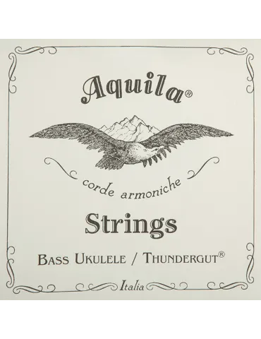 AQUILA 69U | MusicGoodDeal