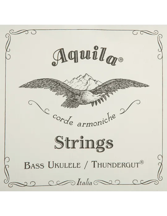 AQUILA 69U | MusicGoodDeal