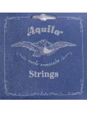 AQUILA 161C | MusicGoodDeal