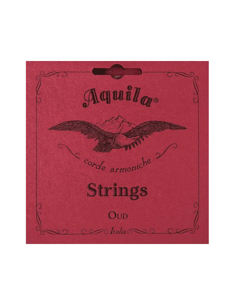 AQUILA 1O | MusicGoodDeal