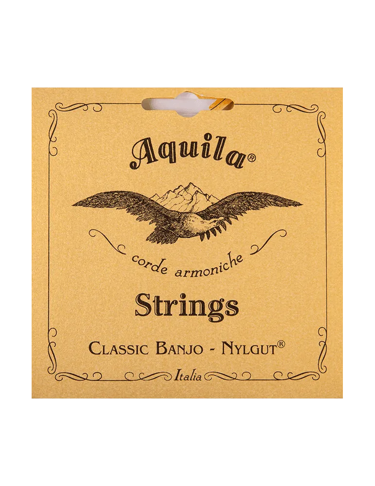 AQUILA 1B | MusicGoodDeal