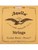 AQUILA 7B | MusicGoodDeal