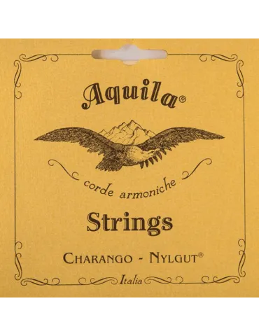 AQUILA 1CH | MusicGoodDeal