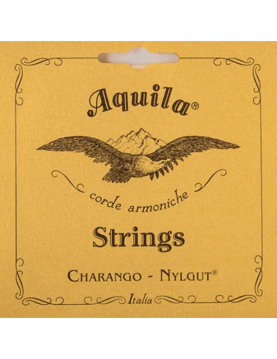 AQUILA 1CH | MusicGoodDeal