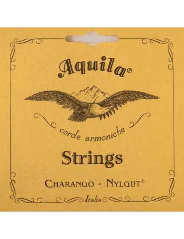 AQUILA 2CH | MusicGoodDeal