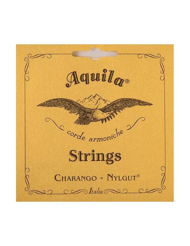 AQUILA 2CH | MusicGoodDeal