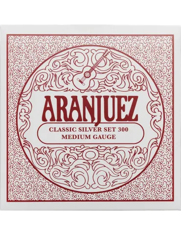 ARANJUEZ AR300 | MusicGoodDeal