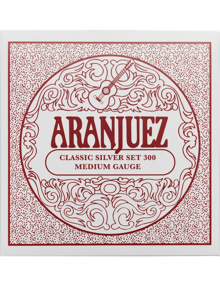 ARANJUEZ AR300 | MusicGoodDeal