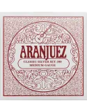 ARANJUEZ AR300 | MusicGoodDeal