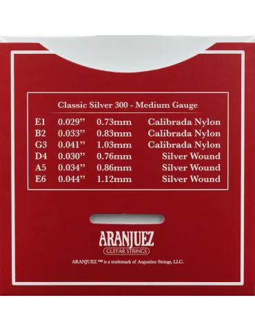 ARANJUEZ AR300 | MusicGoodDeal 2
