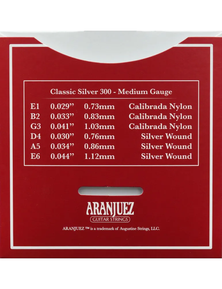 ARANJUEZ AR300 | MusicGoodDeal