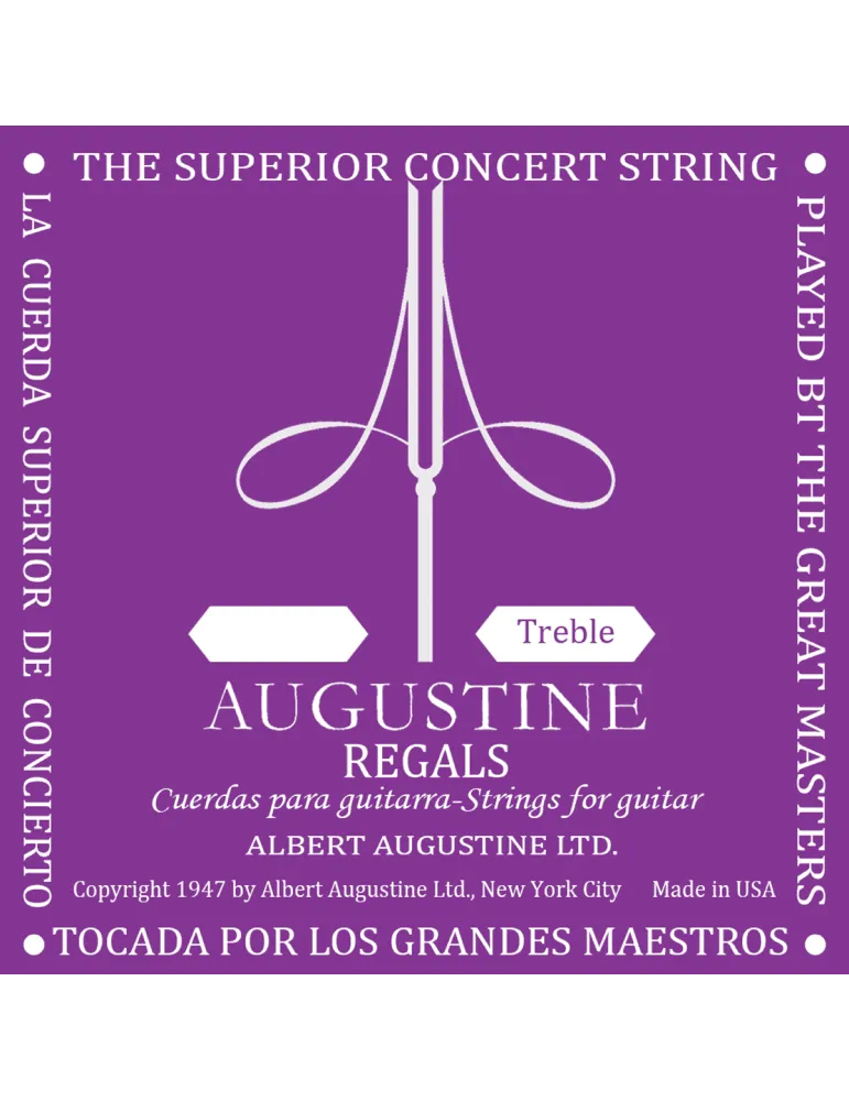 AUGUSTINE RG1-MI | MusicGoodDeal